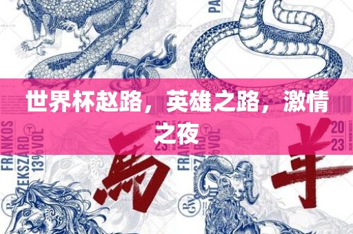 世界杯赵路，英雄之路，激情之夜