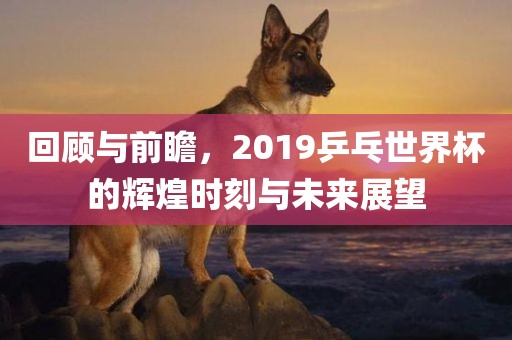 回顾与前瞻，2019乒乓世界杯的辉煌时刻与未来展望漯河市盈旭机械设备有限公司