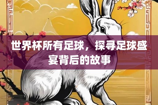 世界杯所有足球，探寻足球盛宴背后的故事漯河市盈旭机械设备有限公司
