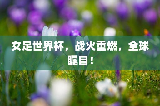 女足世界杯，战火重燃，全球瞩目！漯河市盈旭机械设备有限公司