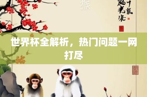 世界杯漯河市盈旭机械设备有限公司全解析，热门问题一网打尽