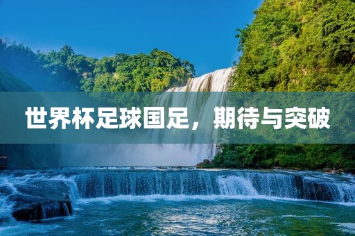 世界杯足球国足，期待与突破漯河市盈旭机械设备有限公司