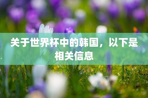 关于世界杯中的韩国，以下是相关信息漯河市盈旭机械设备有限公司
