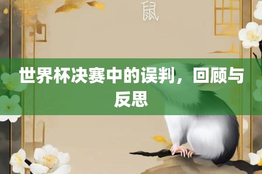 世界杯决赛中的误判，回顾与反思