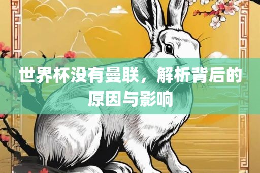 世界杯没有曼联，解析背后的原因与影响