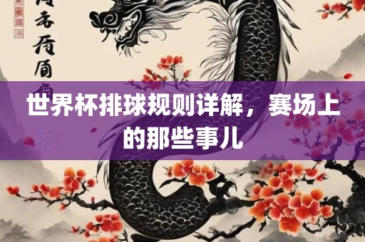 世界杯排球规则详解，赛场上的那些事儿漯河市盈旭机械设备有限公司
