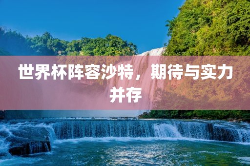 世界杯阵容沙特，期待与实力并存
