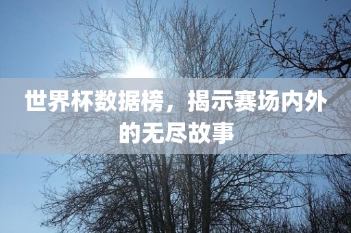 世界杯数据榜，揭示赛场内外漯河市盈旭机械设备有限公司的无尽故事