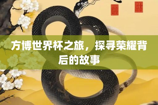 方博世界杯之旅，探寻荣耀背后的故事