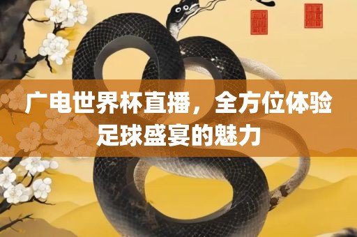 广电世界杯直播，全方位体验足球盛宴的魅力漯河市盈旭机械设备有限公司