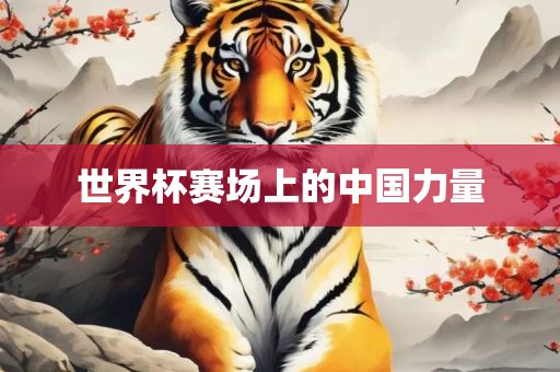世界杯赛场上的中国力量