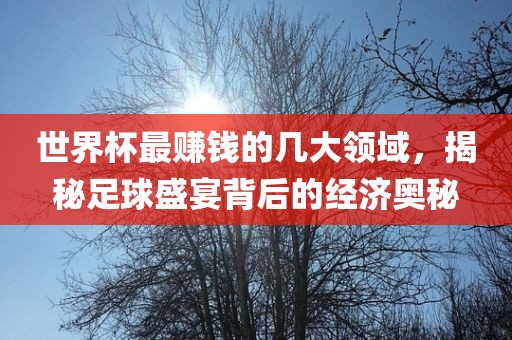 世界杯最赚钱的几大领域，揭秘足球盛宴背后的经济奥秘