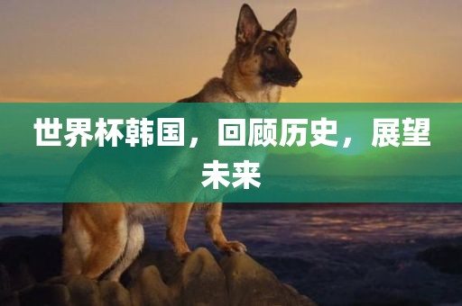 世界杯韩国，回顾历史，展望未来