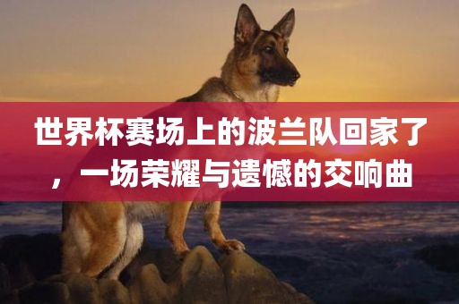 世界杯赛场上的波兰队回家了，一场荣耀与遗憾的交响曲漯河市盈旭机械设备有限公司