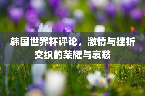 韩国世界杯评论，激情与挫折交织的荣耀与哀愁