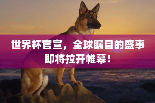 世界杯官宣，全球瞩目的盛事即将拉开帷幕！漯河市盈旭机械设备有限公司