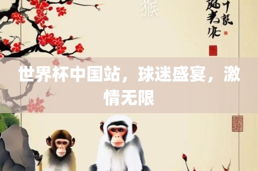 世界杯中国站，球迷盛宴，激情无限
