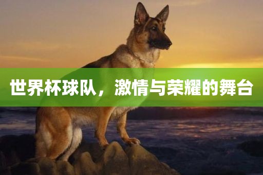 世界杯球队，激情与荣耀的舞台