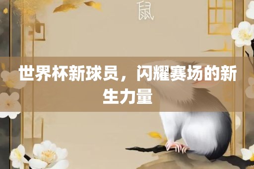 世界杯新球员，闪耀赛场的新生力量