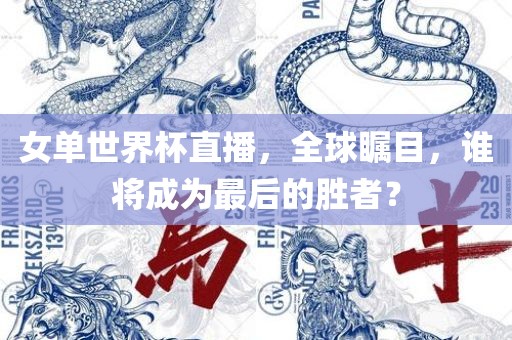 女单世界杯直播，全球瞩目，谁将成为最后的胜者？