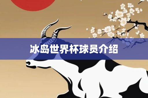 冰岛世界杯球员介绍