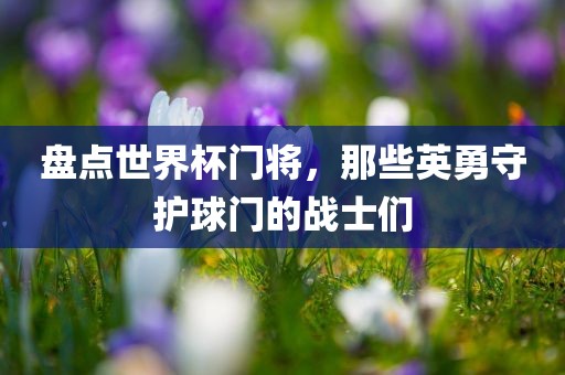 盘点世界杯门将，那些英勇守护球门的战士们