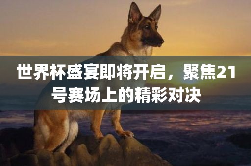 世界杯盛宴即将开启，聚焦21号赛场上的精彩对决