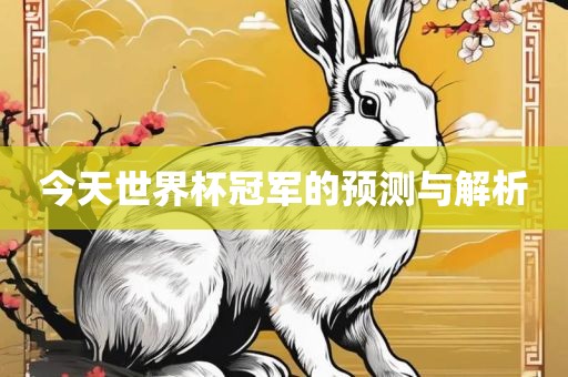 今天世界杯冠军的预测与解析