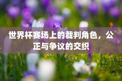 世界杯赛场上的裁判角色，公正与争议的交织
