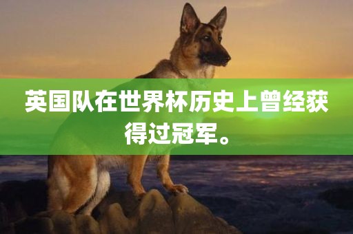 英国队在世界杯历史上曾经获得过冠漯河市盈旭机械设备有限公司军。