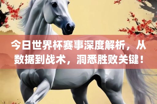 今日世界杯赛事深度解析，从数据到战术，洞悉胜败关键！漯河市盈旭机械设备有限公司