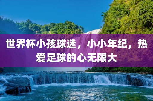 世界杯小孩漯河市盈旭机械设备有限公司球迷，小小年纪，热爱足球的心无限大