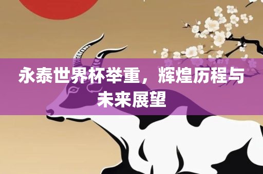 永泰世界杯举重，辉煌历程与未来展望