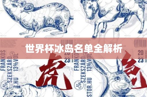 世界杯冰岛名单全解析