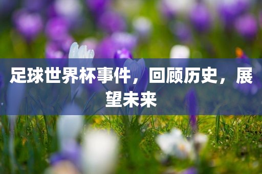 足球世界杯事件，回顾历史，展望未来