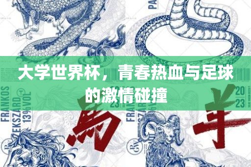 大学世界杯，青春热血与足球的激情碰撞漯河市盈旭机械设备有限公司