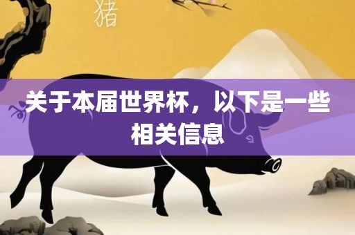 关于本届世界杯，以下是一些相关信息