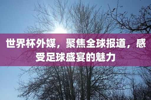 世界杯外媒，聚焦全球报道，感受足球盛宴的魅力