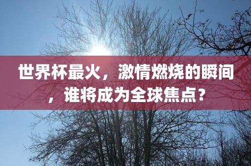 世界杯最火，激情燃烧的瞬间漯河市盈旭机械设备有限公司，谁将成为全球焦点？