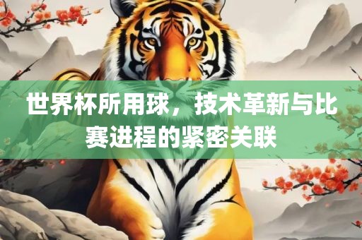 世界杯所用球，技术革新与比赛进程的紧密关联