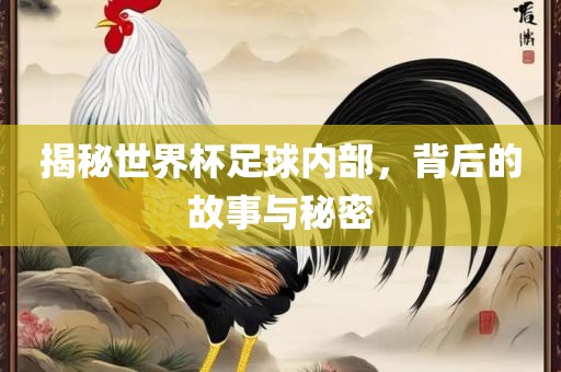 揭秘世界杯足球内部，背后的故事与秘密漯河市盈旭机械设备有限公司