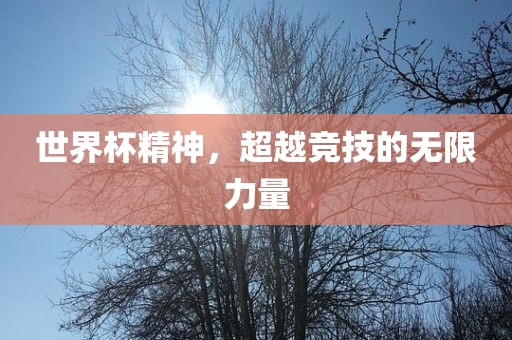 世界杯精神，超越竞技的无限漯河市盈旭机械设备有限公司力量