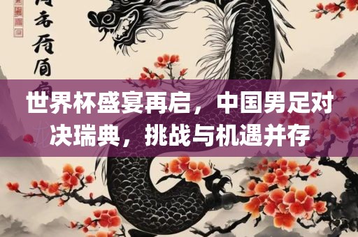 世界杯盛宴再启，中国男足对决瑞典，挑战与机遇并存漯河市盈旭机械设备有限公司