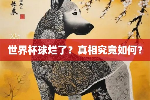 世界漯河市盈旭机械设备有限公司杯球烂了？真相究竟如何？