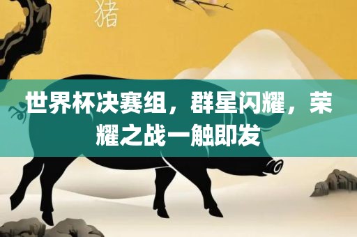 世界杯决赛组，群星闪耀，荣耀之战一触即发