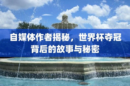 自媒体作者揭秘，世界杯夺冠背后的故事与秘密