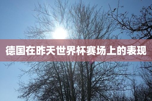 德国在昨天世界杯赛场上的表现