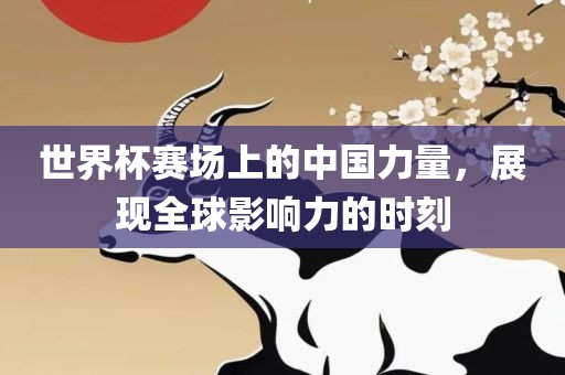 世界杯赛场上的中国力量，展现全球影响力的时刻