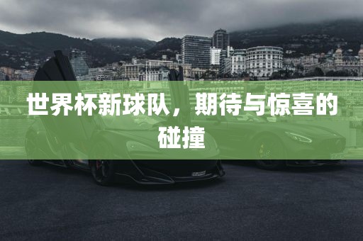 世界杯新球队，期待与惊喜的碰撞
