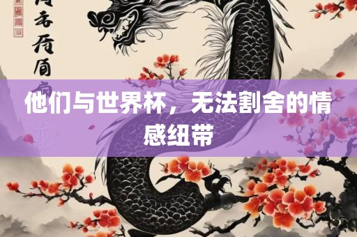 他们与世界杯，无法割舍的情感纽带漯河市盈旭机械设备有限公司
